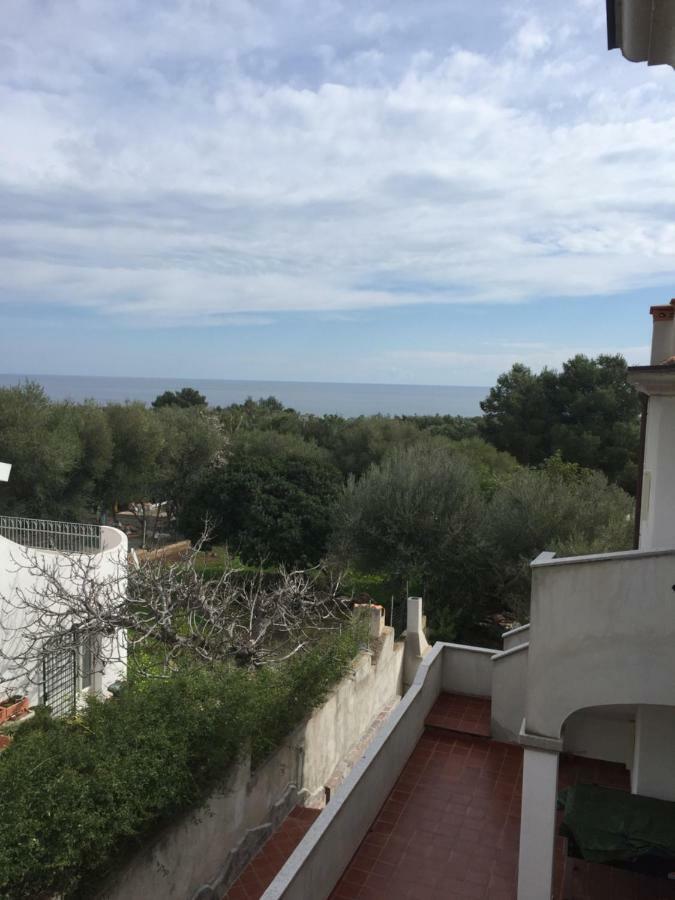 Sigma Apartment Cala Gonone